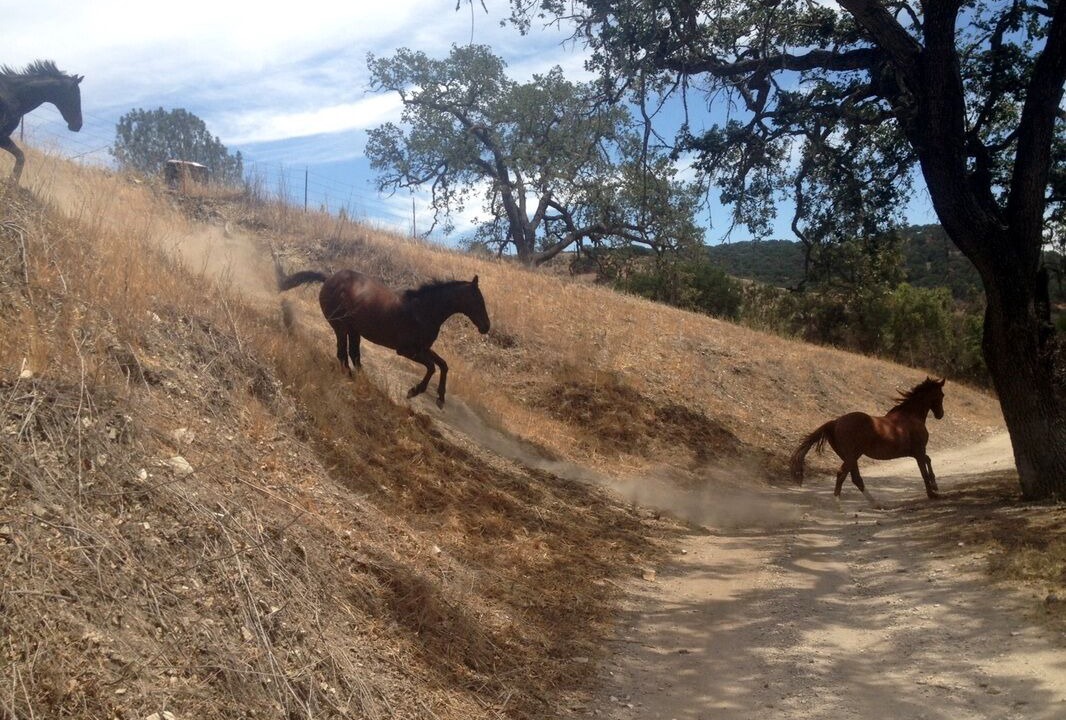 Photo of Others in Santa Barbara County
