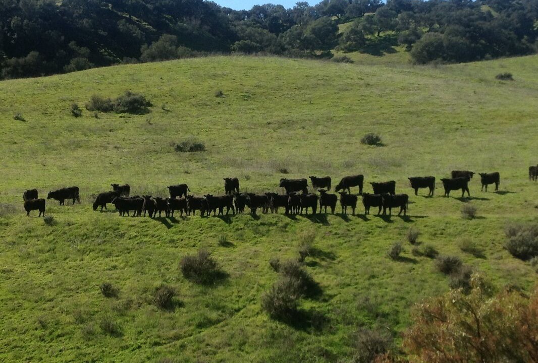 Photo of Others in Santa Barbara County