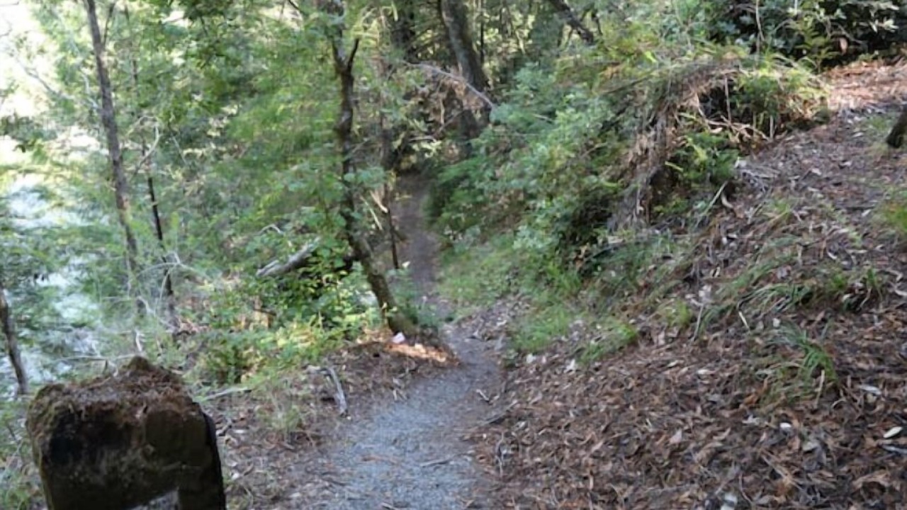 Photo of Outdoor in Garberville