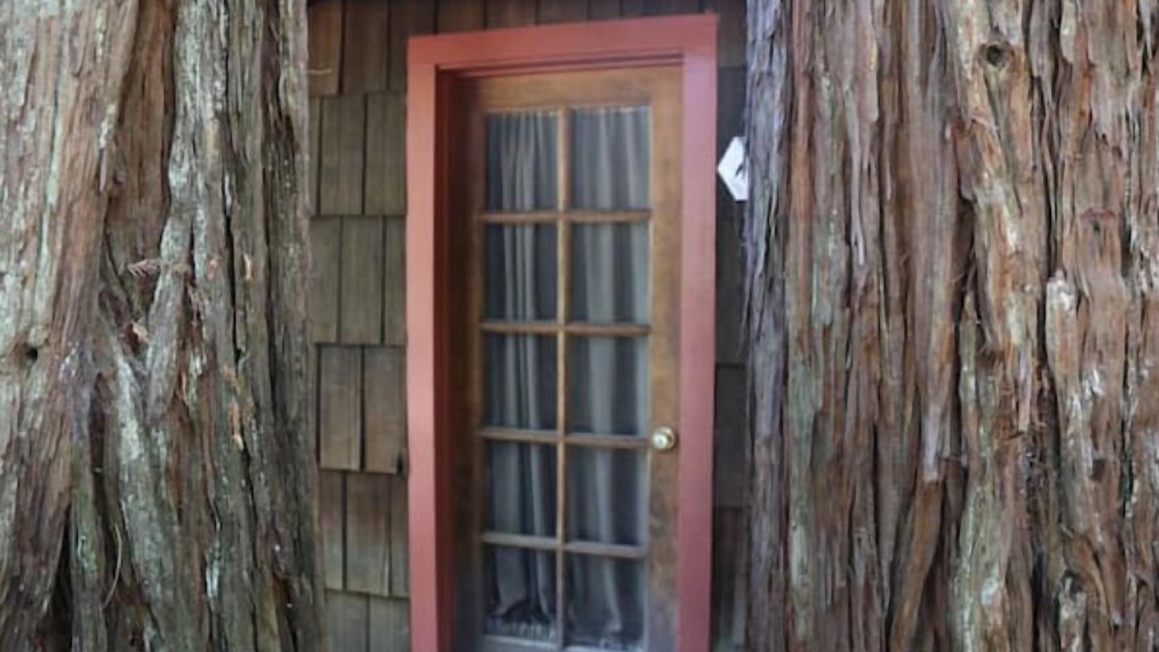 Photo of Outdoor in Garberville