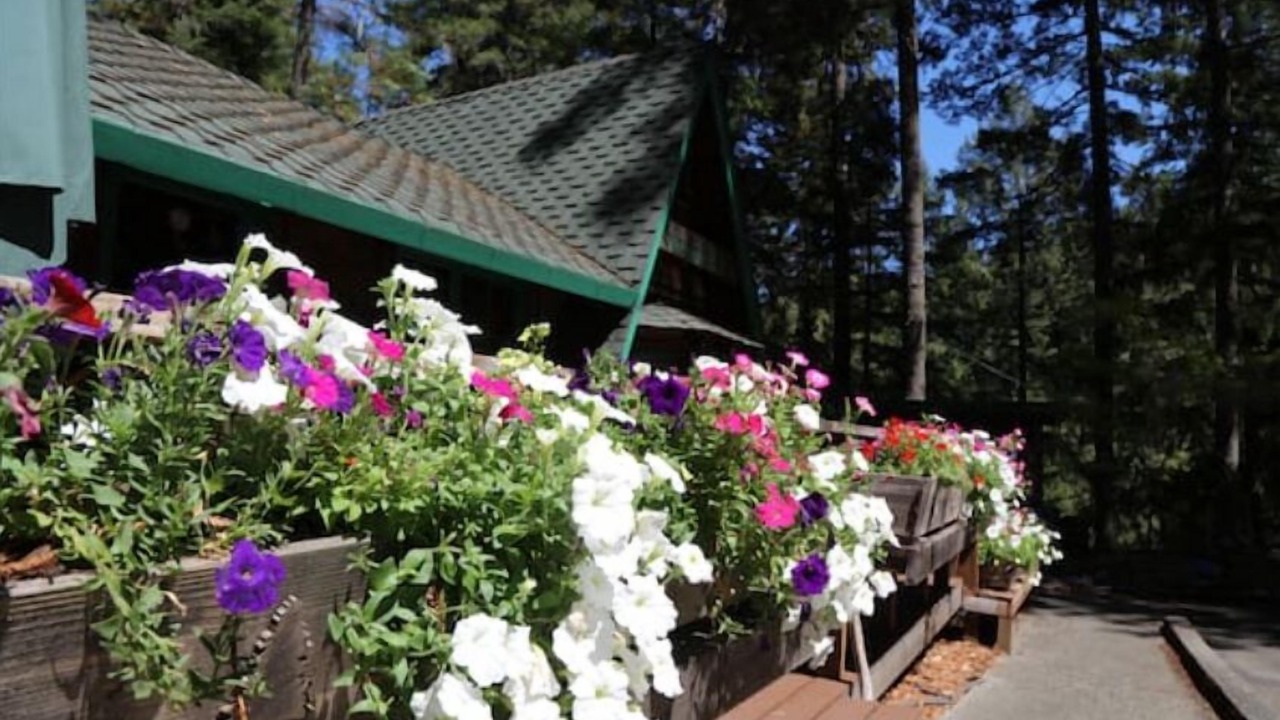 Photo of Outdoor in Garberville