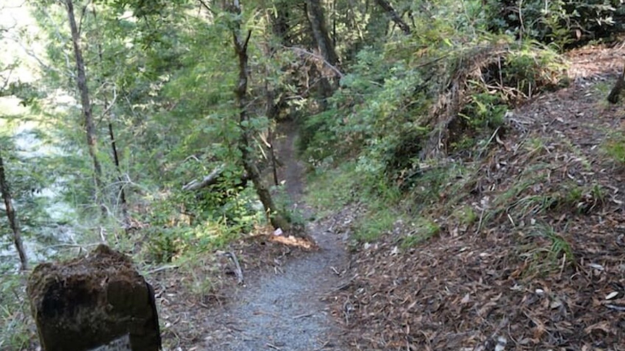 Photo of Outdoor in Garberville