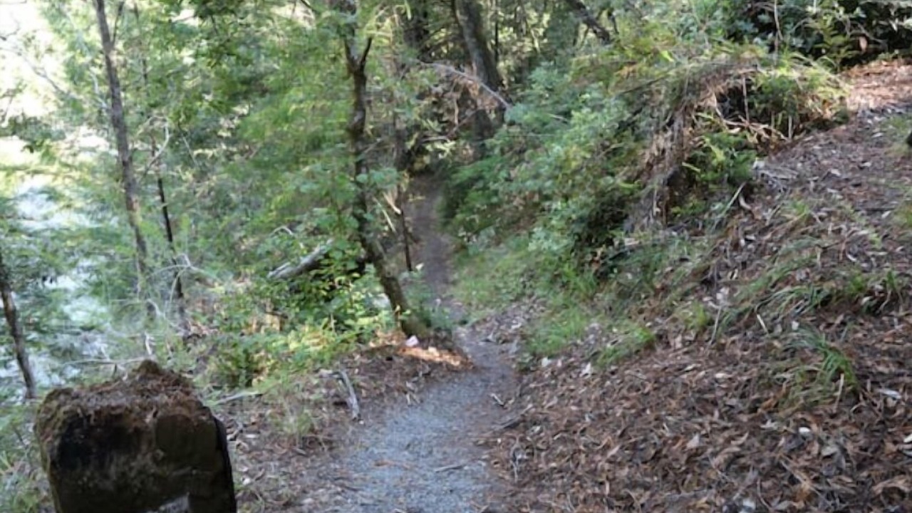 Photo of Outdoor in Garberville
