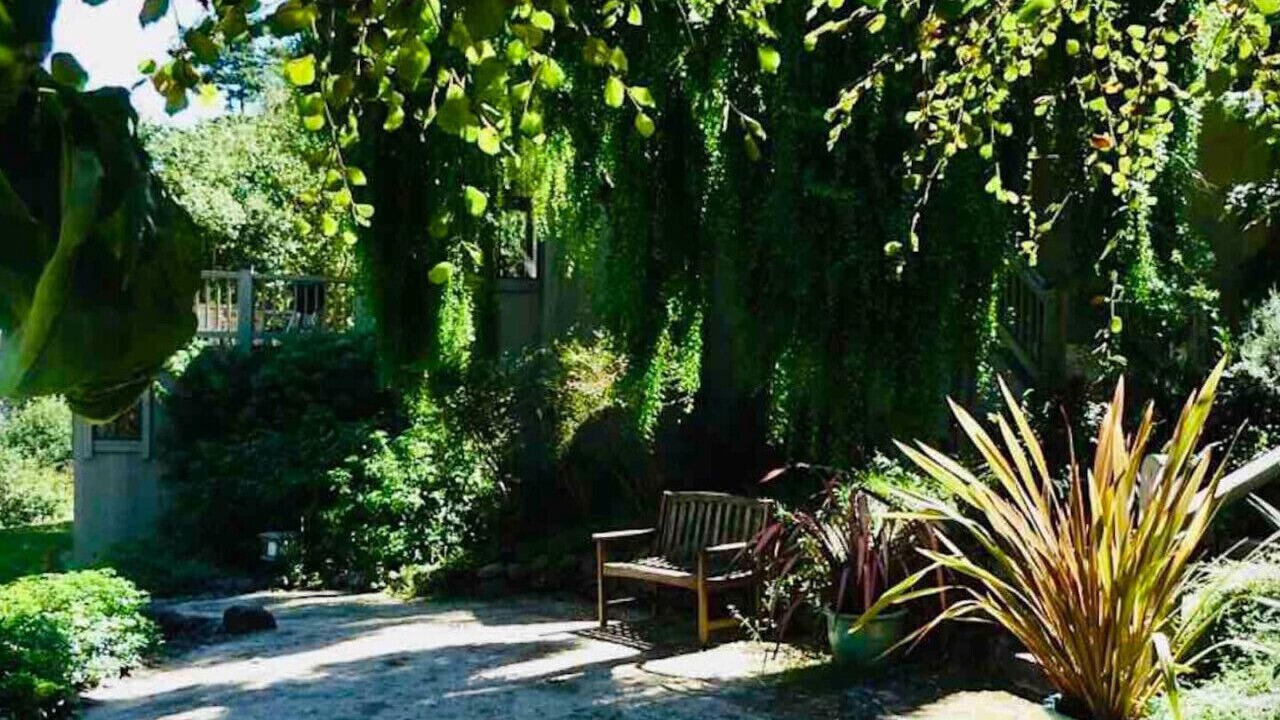 Photo of Patio Balcony in Point Reyes Station