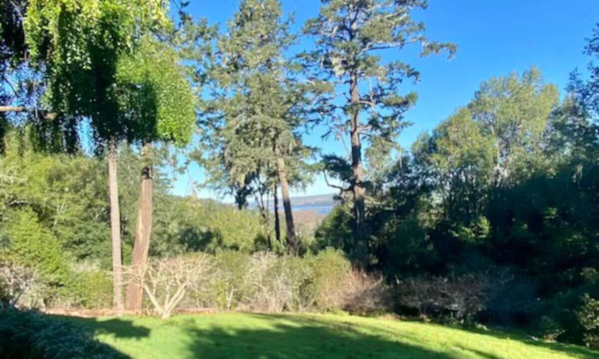 Photo of Others in Point Reyes Station
