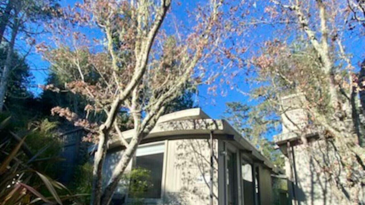 Photo of Outdoor in Point Reyes Station