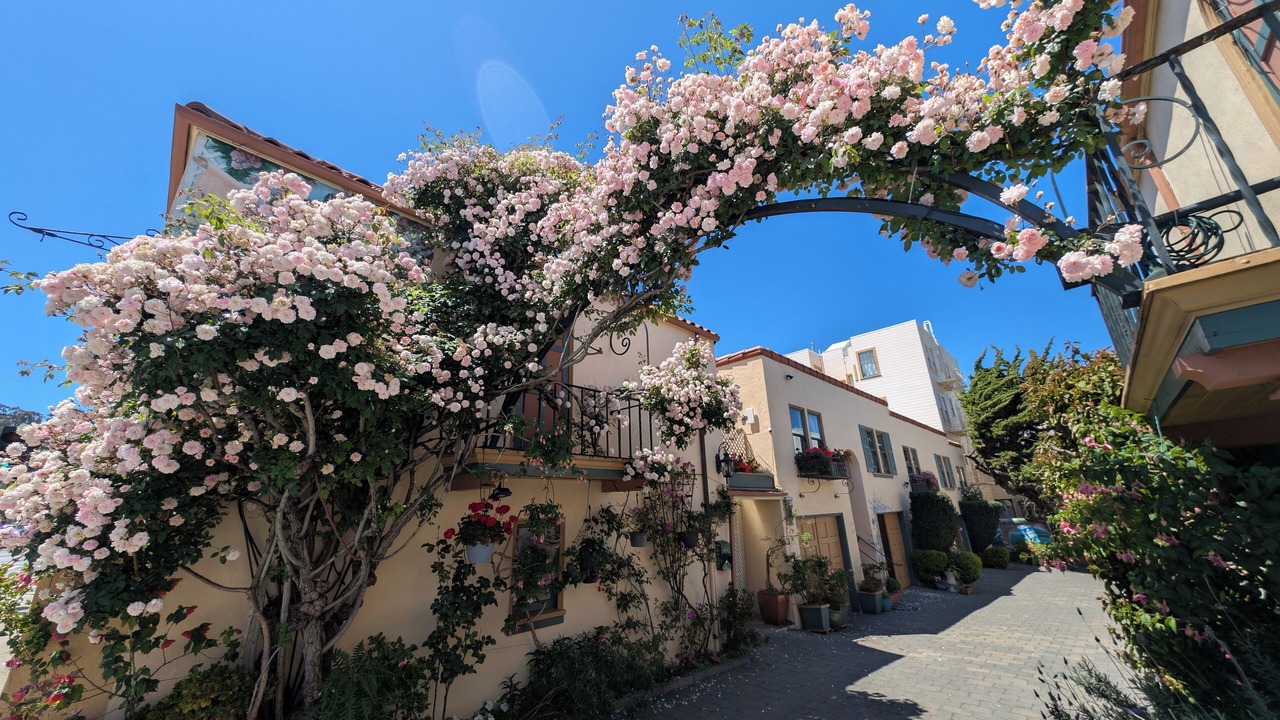 Photo of Outdoor in Marina District