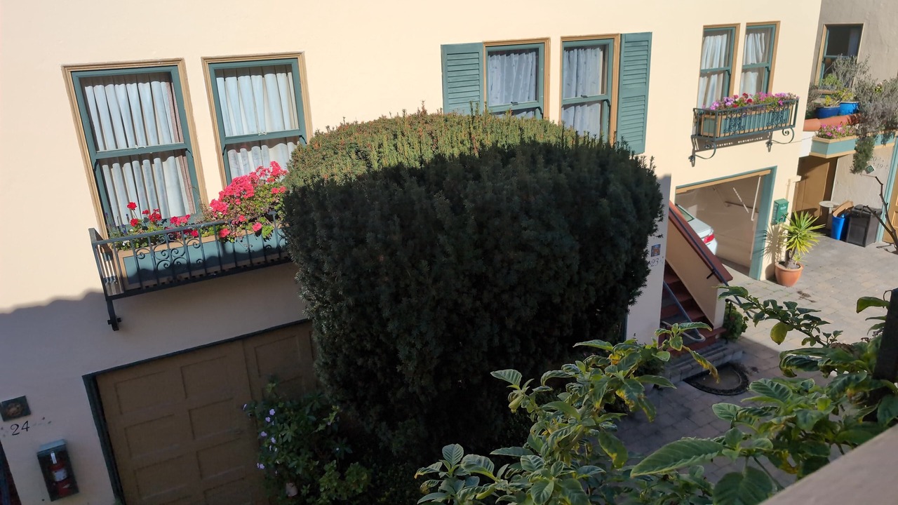 Photo of Outdoor in Marina District