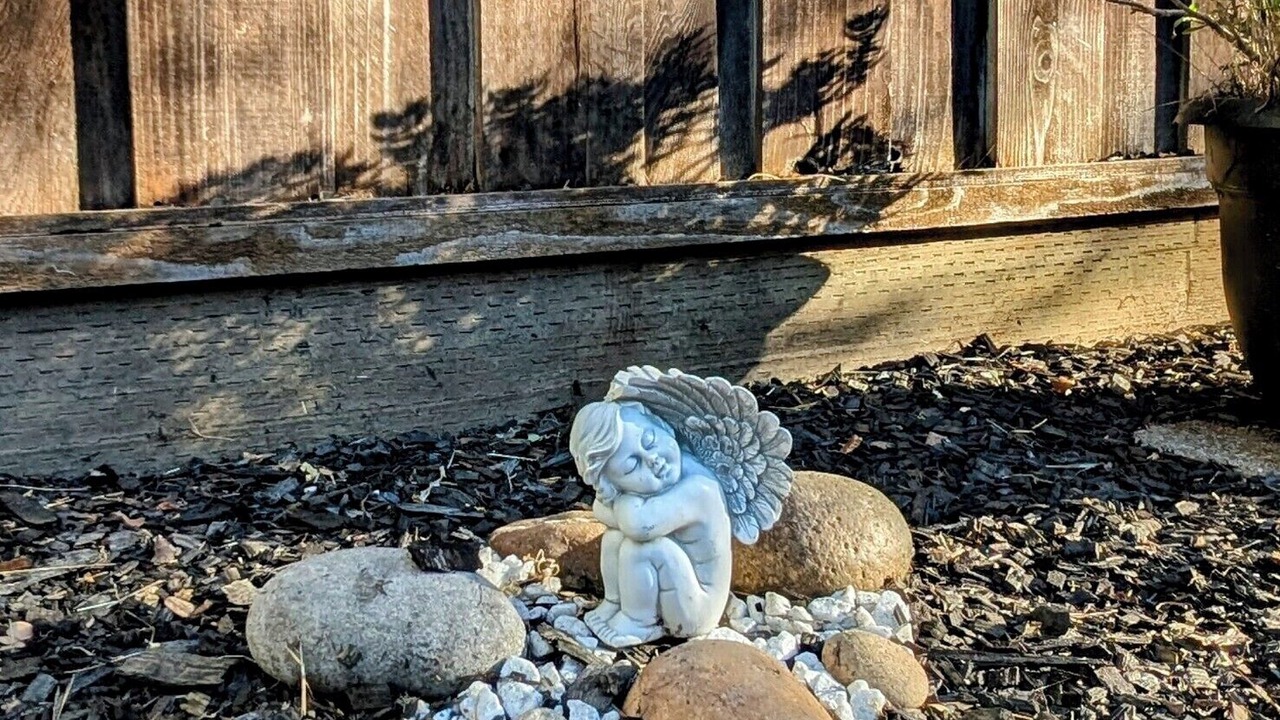 Photo of Outdoor in Midtown