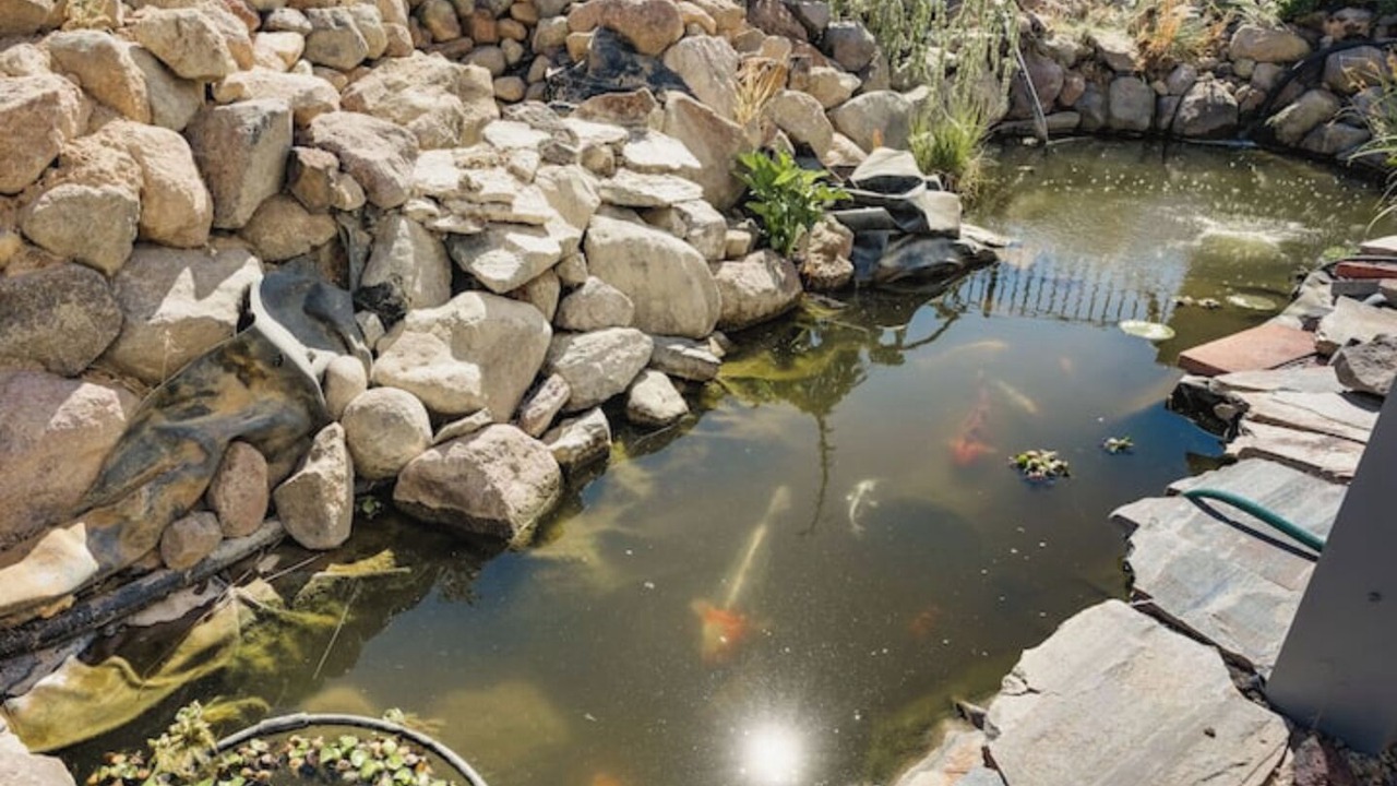 Photo of Outdoor in Reno