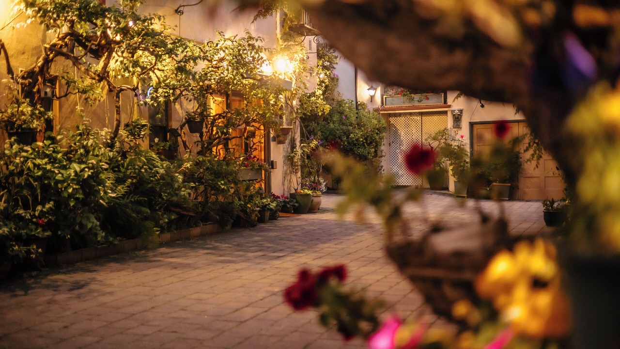 Photo of Outdoor in Marina District