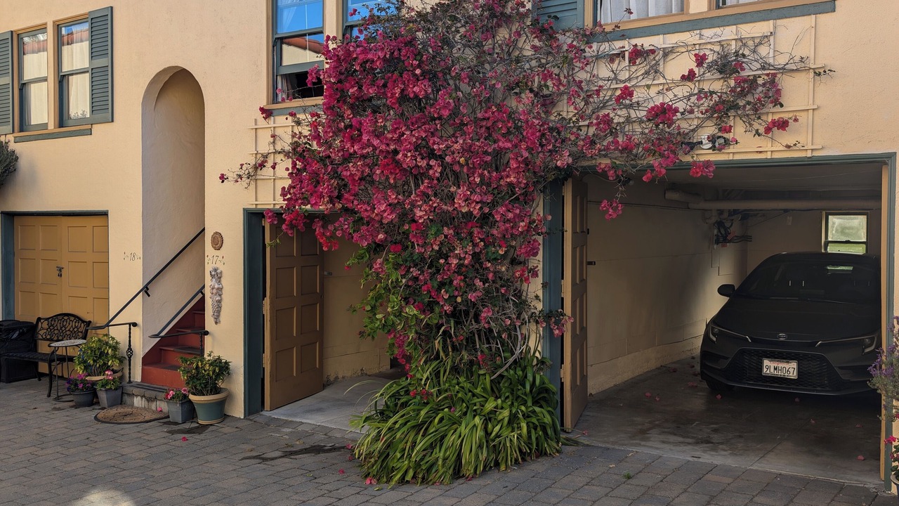 Photo of Outdoor in Marina District