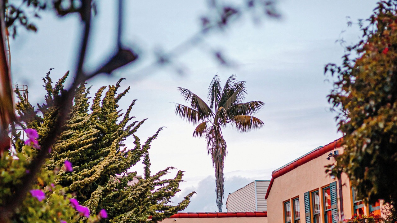 Photo of Outdoor in Marina District
