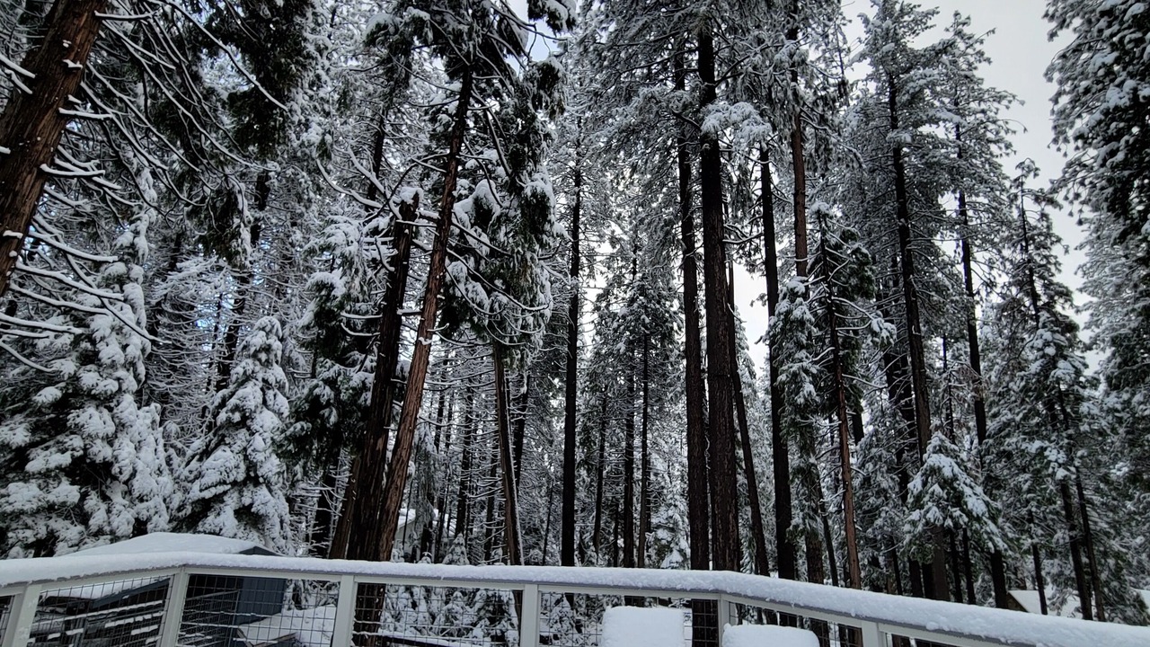 Photo of Others in Sierra Village