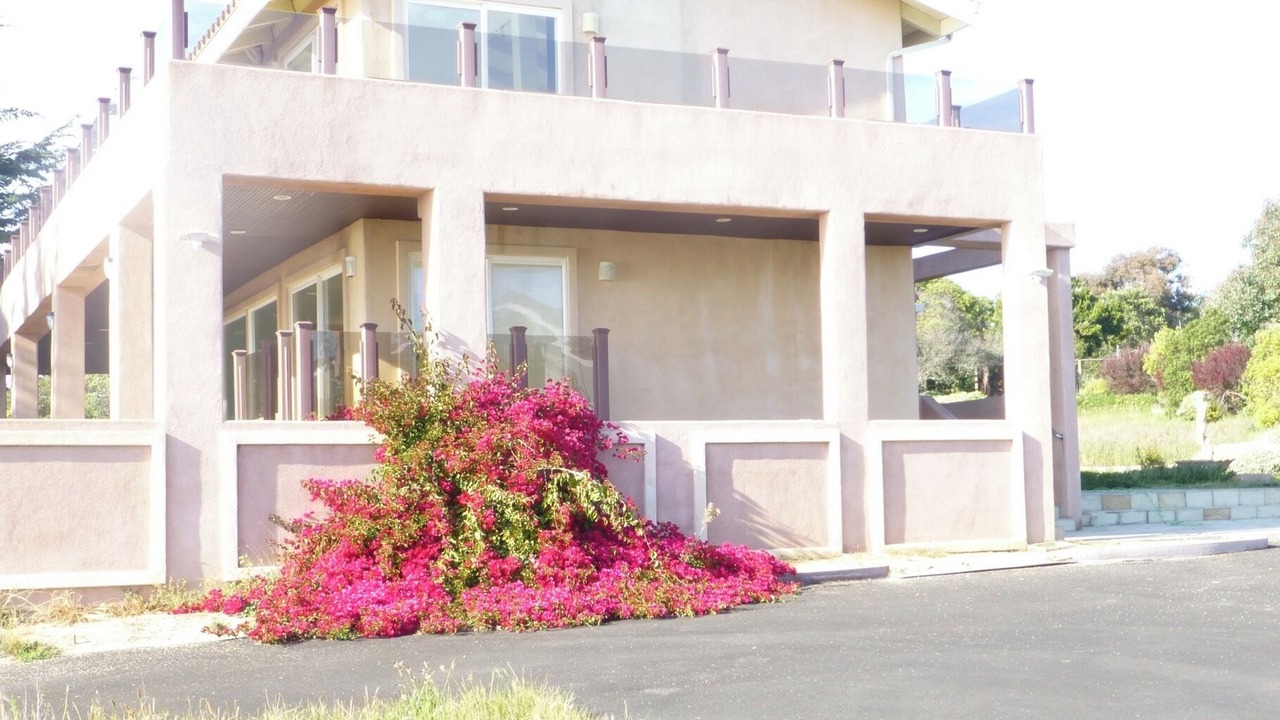 Photo of Outdoor in La Selva Beach