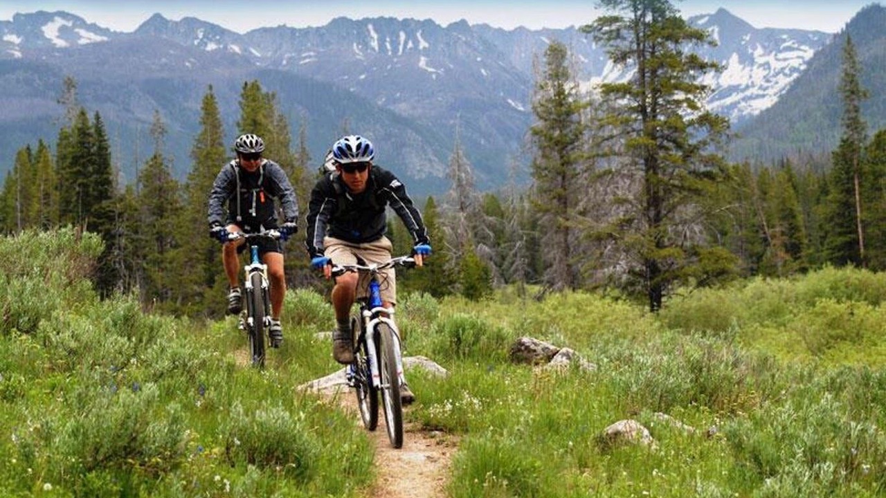 Photo of Others in Majestic Pines