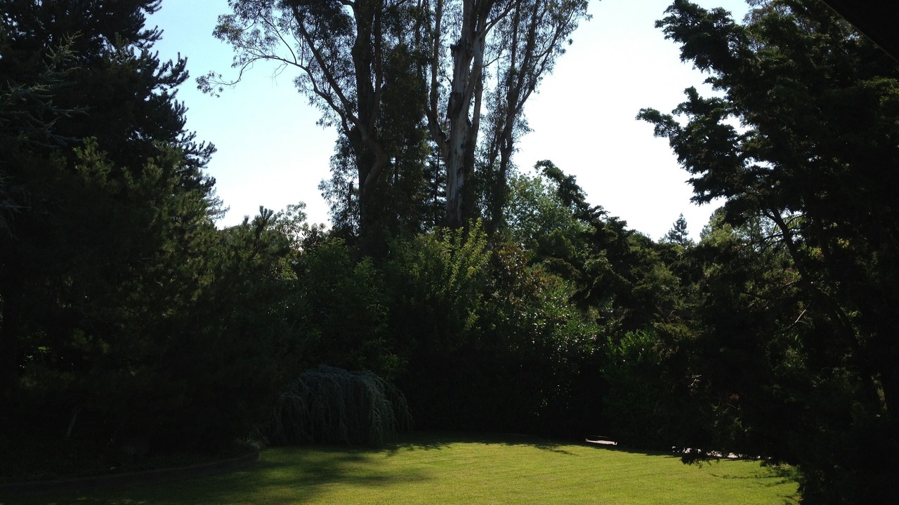 Photo of Outdoor in Sleepy Hollow