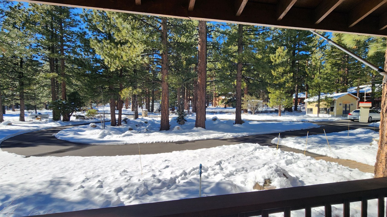 Photo of Outdoor in Galena Forest Estates