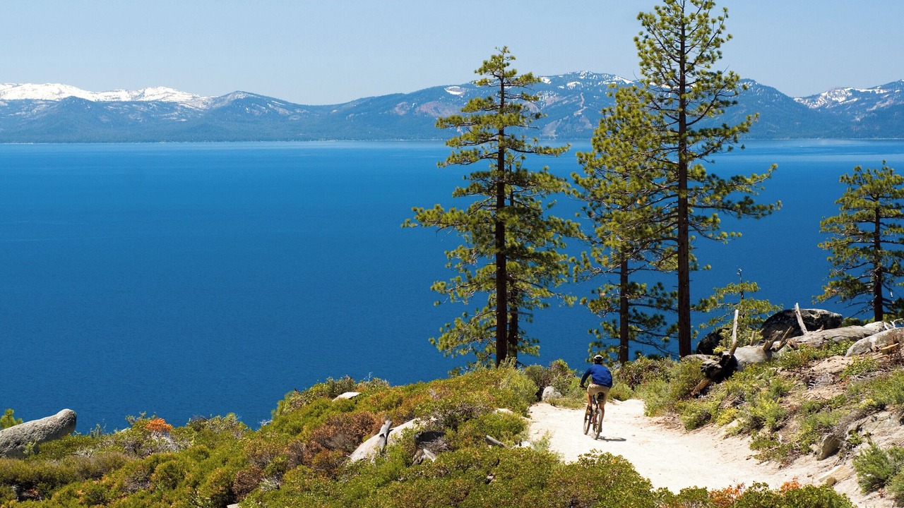 Photo of Others in South Lake Tahoe