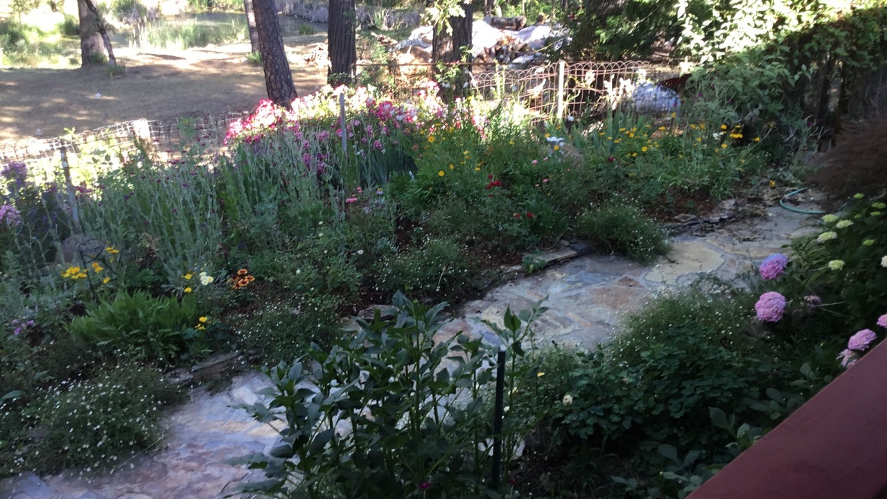 Photo of Others in Mariposa