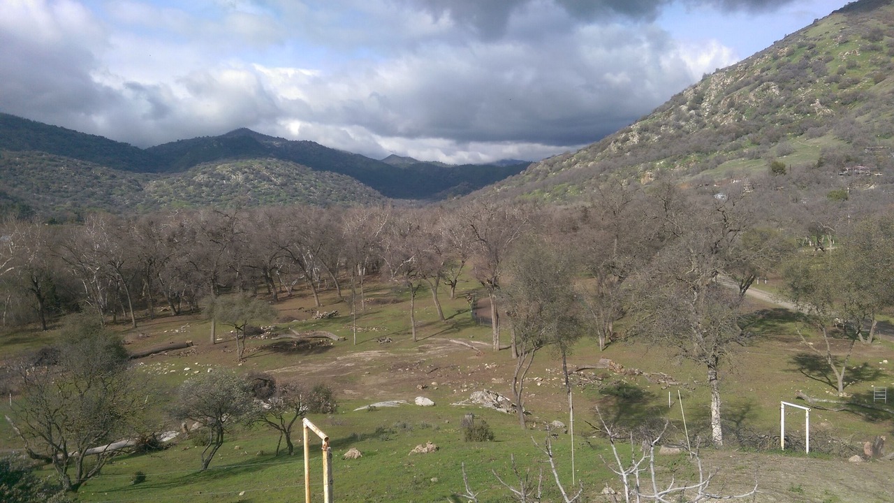 Photo of Others in Kaweah