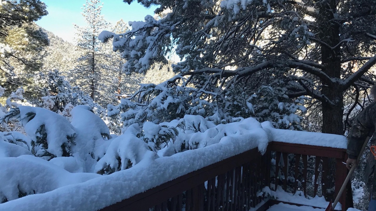 Photo of Others in Pine Mountain Club