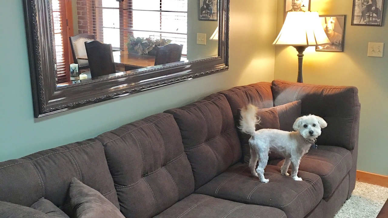 Photo of Livingroom in Bass Lake
