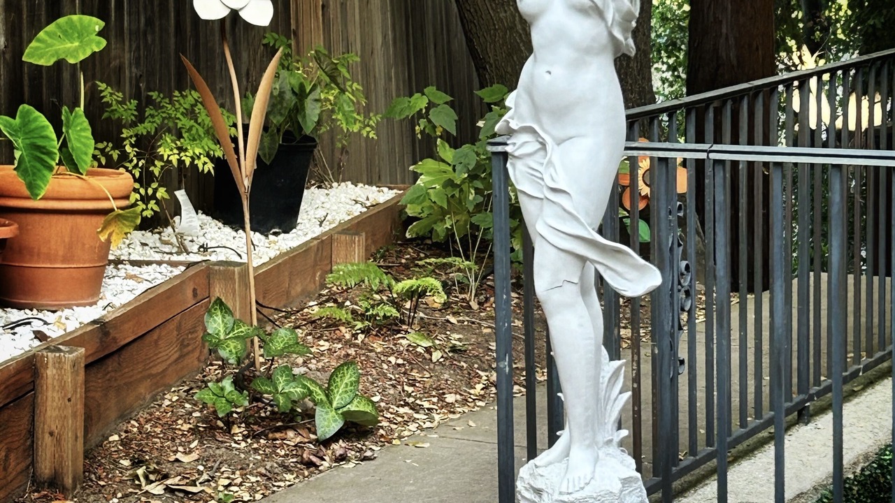 Photo of Others in Saratoga