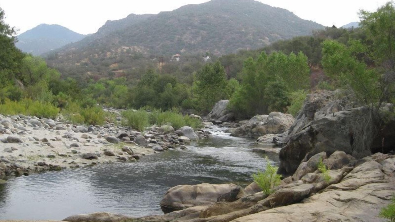 Photo of Others in Three Rivers