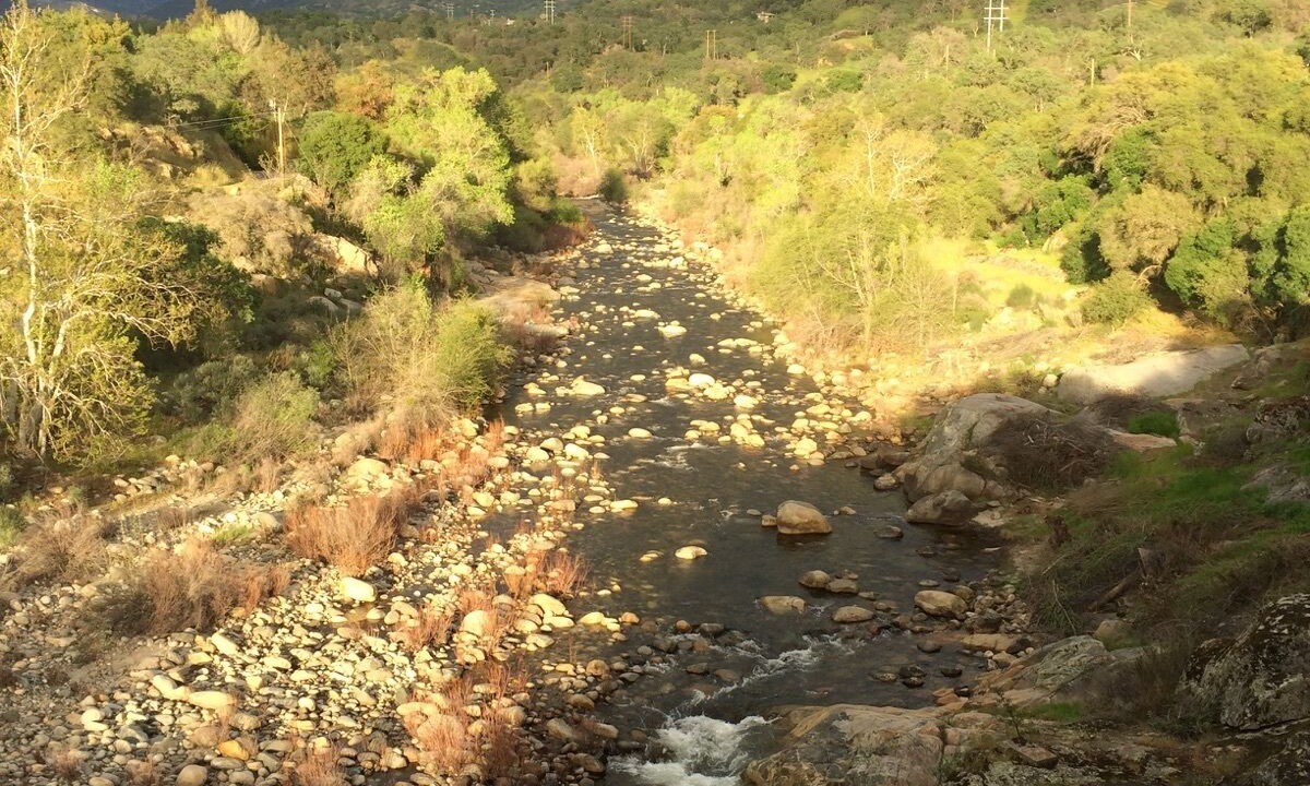 Photo of Others in Three Rivers