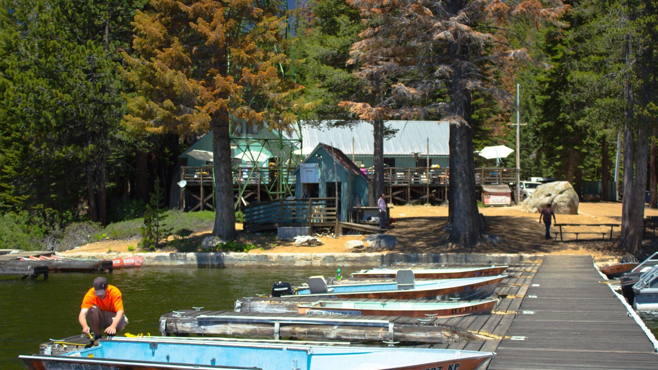 Photo of Others in Huntington Lake