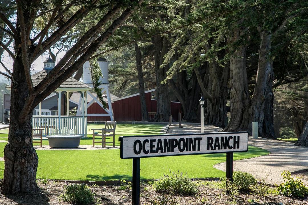 Photo of Others in San Simeon