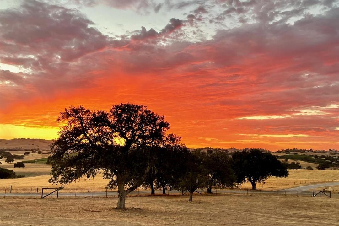 Photo of Others in Paso Robles