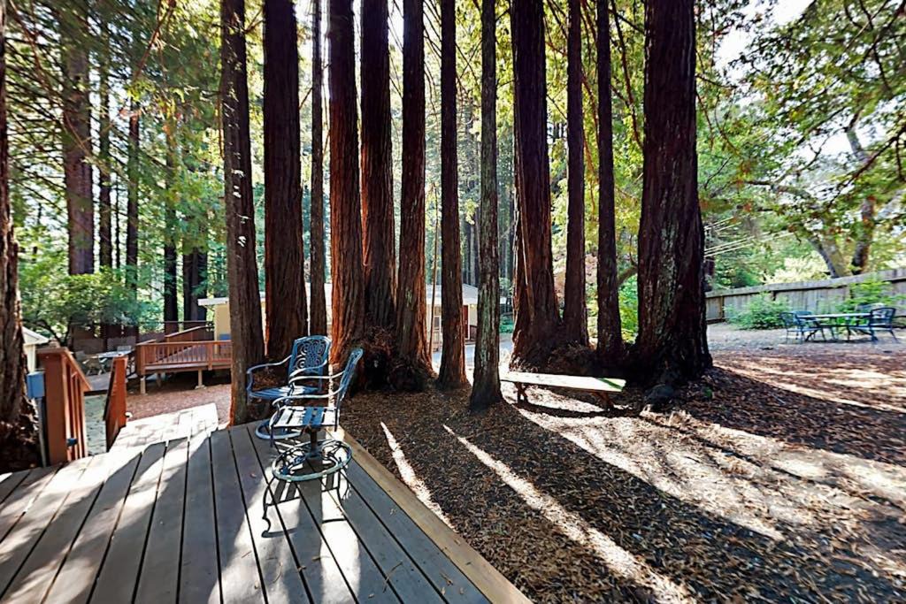 Photo of Others in Cazadero