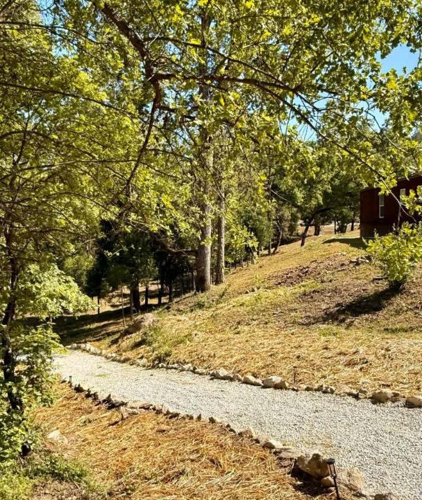 Photo of Outdoor in North Fork