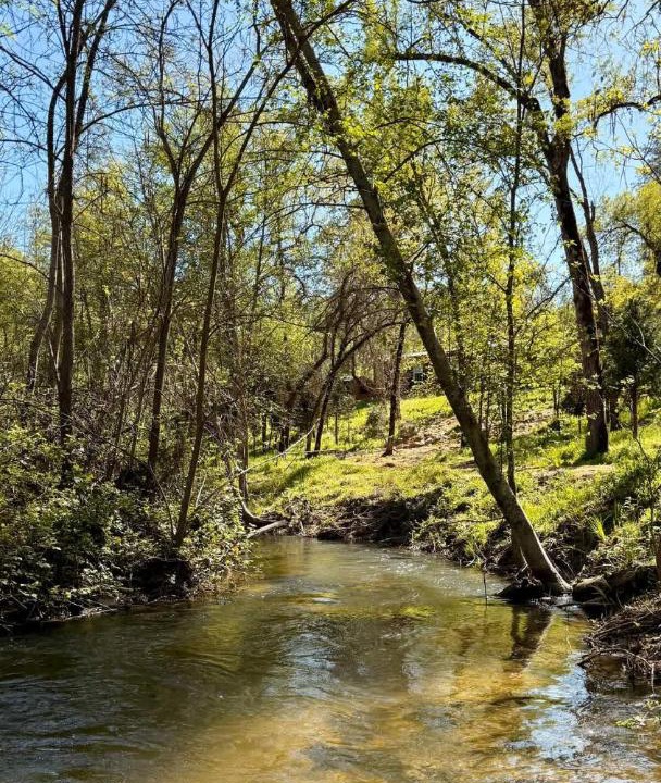 Photo of Others in North Fork