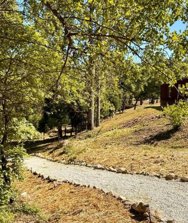 Photo of Outdoor in North Fork