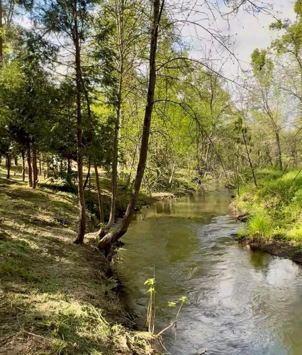 Photo of Others in North Fork