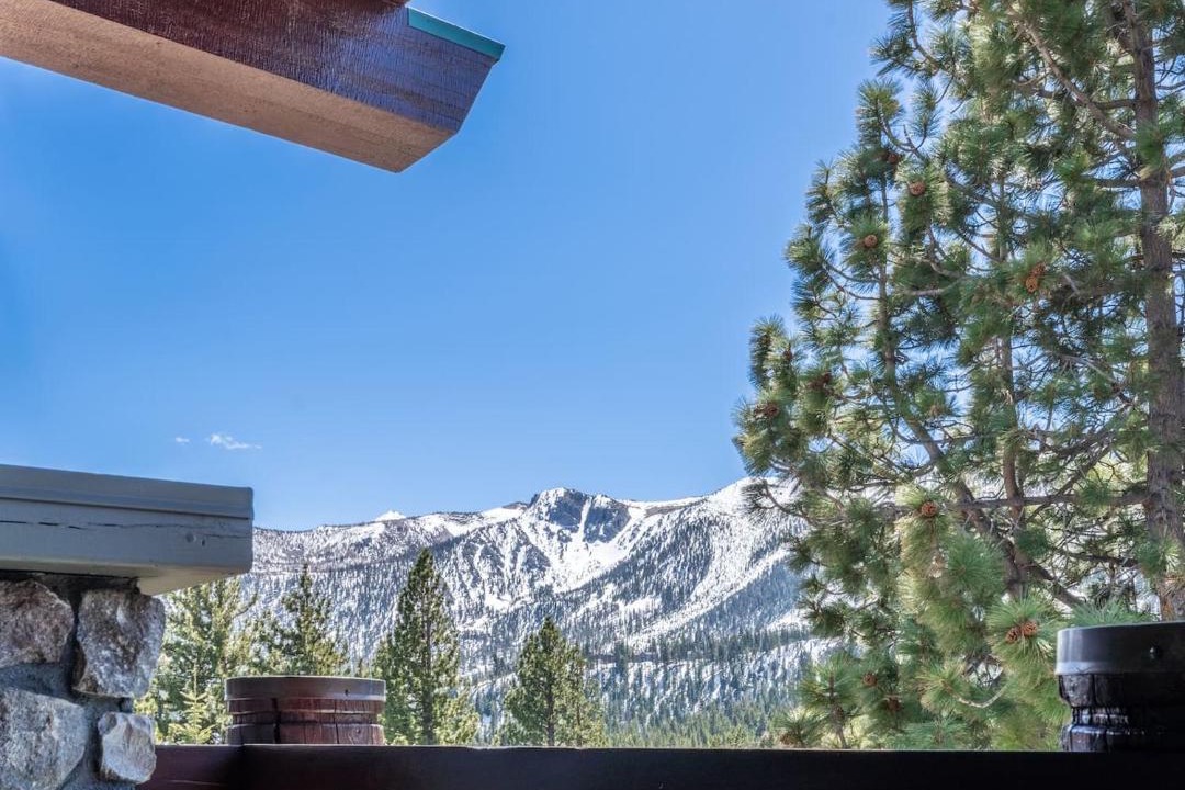 Photo of Others in Mammoth Lakes