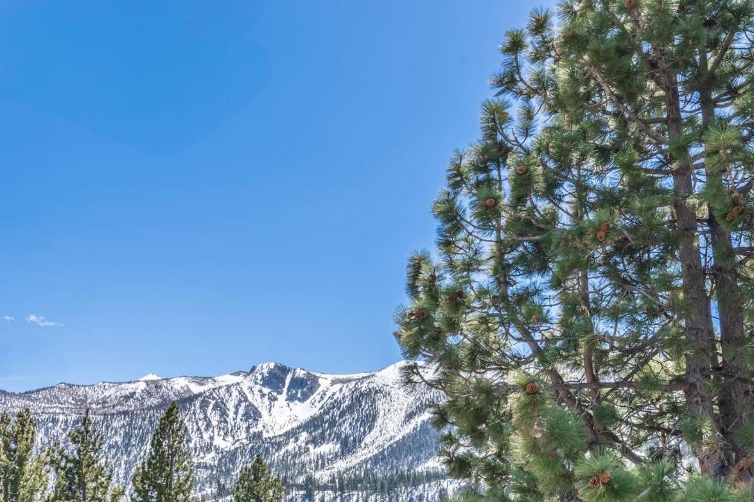 Photo of Others in Mammoth Lakes
