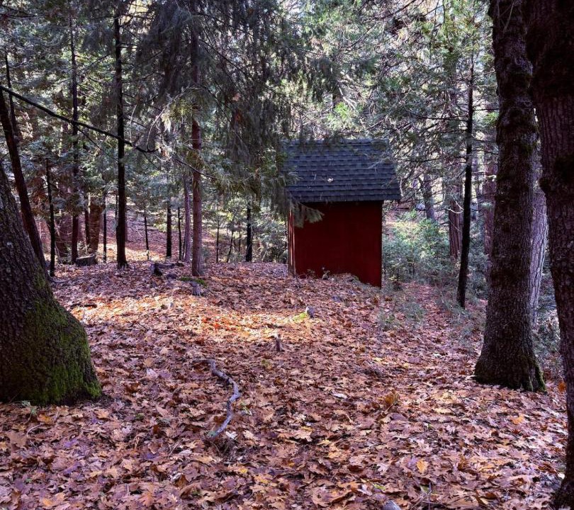 Photo of Others in Twain Harte
