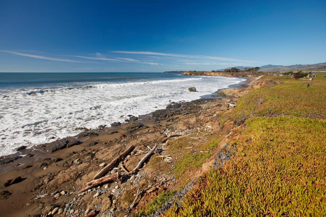 Photo of Others in San Simeon