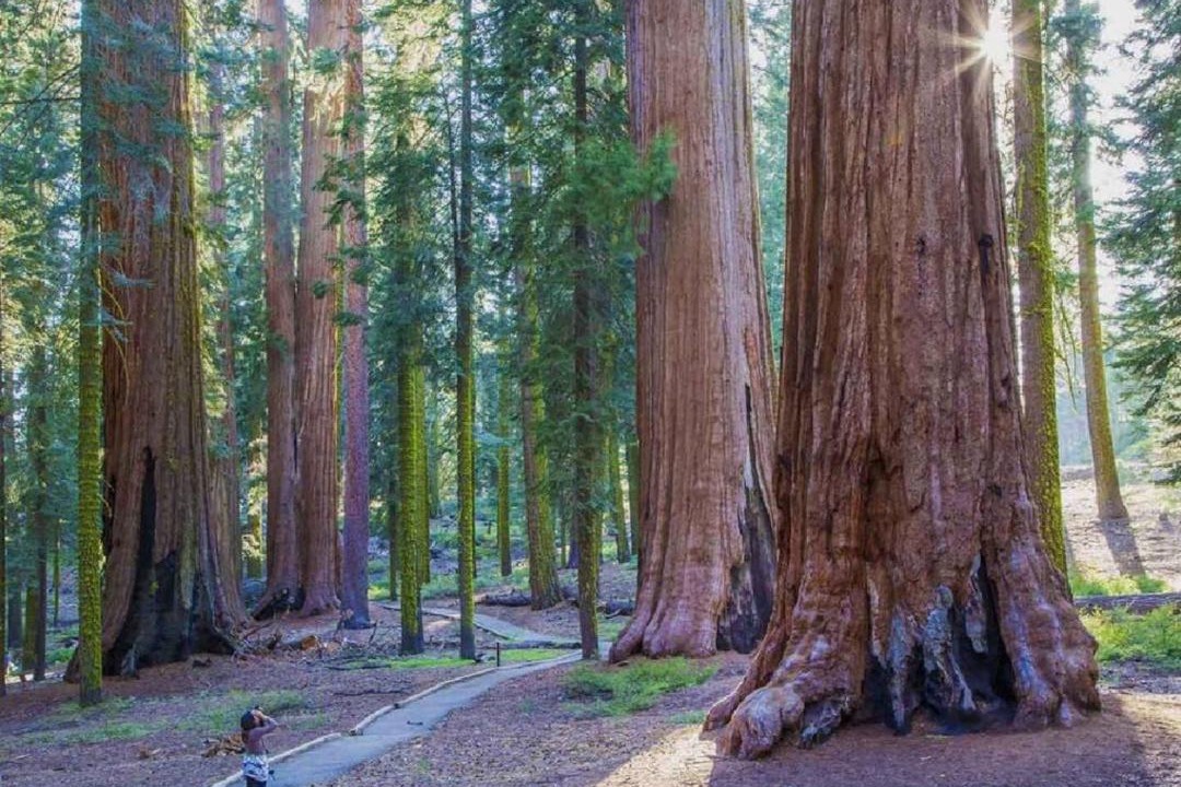 Photo of Others in Sierra Cedars