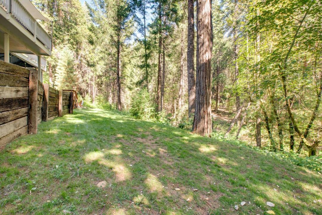 Photo of Others in Placerville
