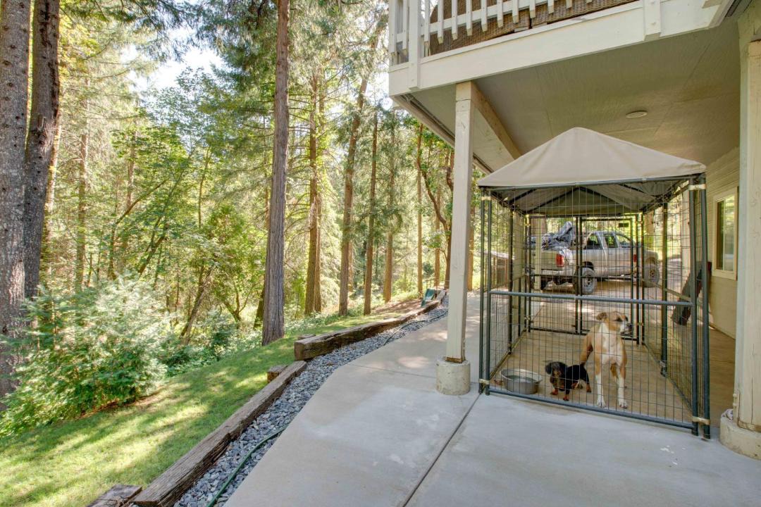 Photo of Others in Placerville