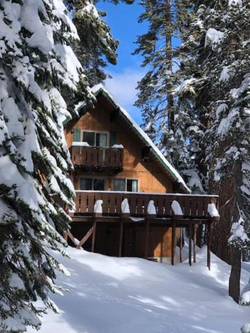Photo of Others in Mammoth Lakes