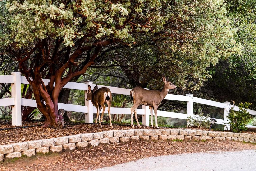 Photo of Others in Oakhurst