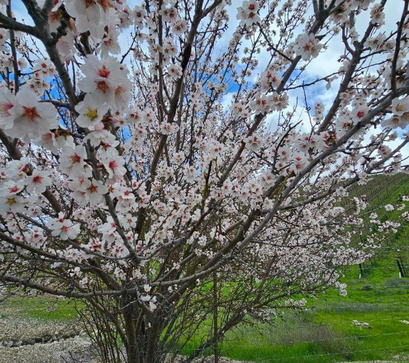 Photo of Outdoor in Paso Robles