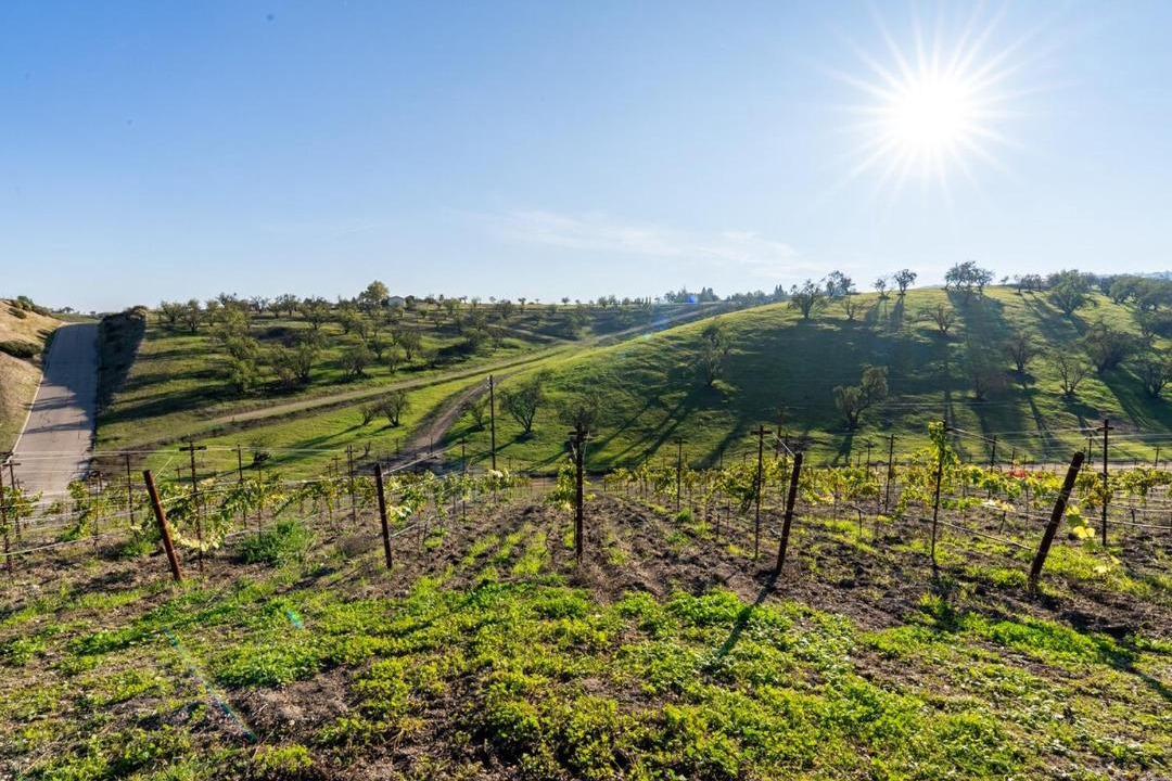 Photo of Others in Paso Robles