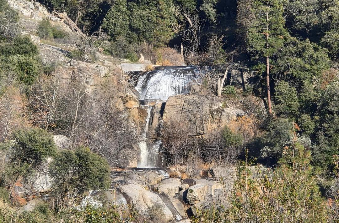 Photo of Others in Yosemite Forks